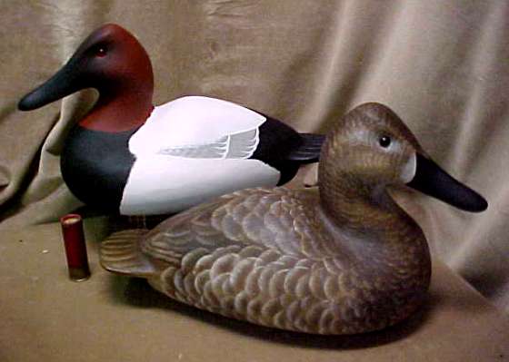 Full size decorative Canvasback pair